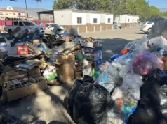 Recaudan más de 25 mil kilos de productos reciclables en el Punto Verde Riviera