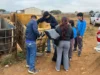 Retiran basura en el camino que conduce a la Bahía Falsa en San Quintín