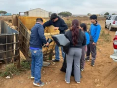Retiran basura en el camino que conduce a la Bahía Falsa en San Quintín