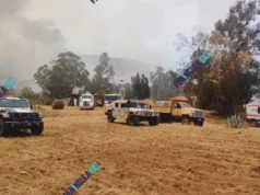 Combaten incendio forestal cerca de una vinícola en el Valle de Guadalupe