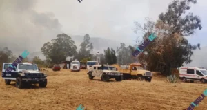 Combaten incendio forestal cerca de una vinícola en el Valle de Guadalupe
