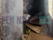 Localizan cuerpo de hombre en vivienda del ejido Zapata en San Quintín