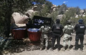 Desmantelan laboratorio de drogas cerca de la Sierra de Juárez