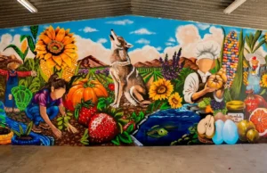 Invitan a escuelas de nivel básico a inscribirse en el programa Raíces y Colores en Ensenada