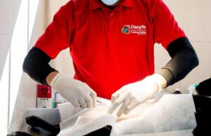 Ofrecen atención veterinaria a bajo costo en el Centro de Atención Canina y Felina de Ensenada
