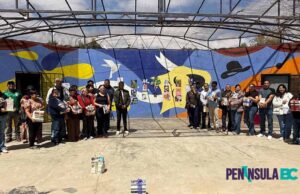 Distribuye Secretaría de Cultura acervos de libros a escuelas y mediadores de San Quintín