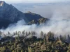 Bomberos monitorean incendio forestal en el Parque Nacional Sierra San Pedro Mártir