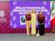 Priorizan el bienestar emocional de niños y adolescentes con terapias asistidas por binomios caninos