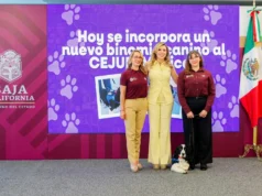 Priorizan el bienestar emocional de niños y adolescentes con terapias asistidas por binomios caninos