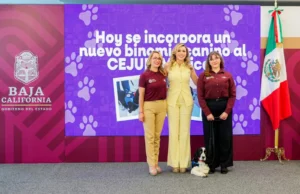 Priorizan el bienestar emocional de niños y adolescentes con terapias asistidas por binomios caninos