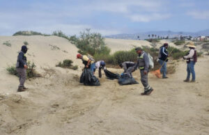 Retiran 95 toneladas de residuos en playas de Ensenada