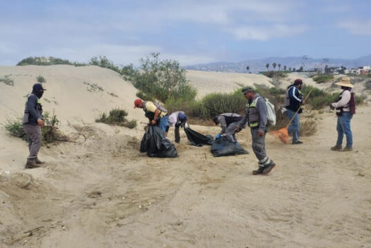 Retiran 95 toneladas de residuos en playas de Ensenada