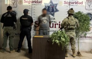 Sorprenden a hombre con diez dosis de drogas sintéticas en San Quintín