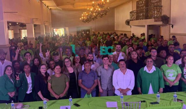 Comité Municipal Verde (1)