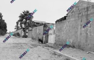 Irrumpen y disparan en predio del fraccionamiento San Quintín