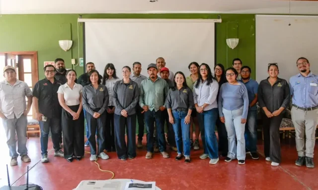 SMADS-curso-_1_