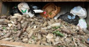 Recolectan dos toneladas de vidrio en espacios del Parque Nacional San Quintín