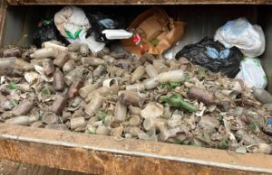 Recolectan dos toneladas de vidrio en espacios del Parque Nacional San Quintín