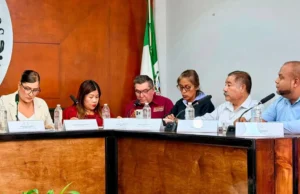 No había transparencia en solicitud de 12 mdp para archivo inmobiliario: Arnulfo Silva