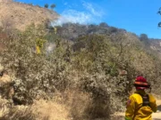 Controlan incendio en el arroyo San Miguel