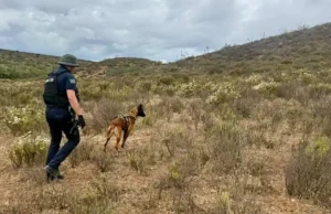 Destaca binomio canino Gaythor con 20 hallazgos durante labores de búsqueda