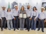 Apoyarán a productores de trigo con mil 500 pesos por hectárea