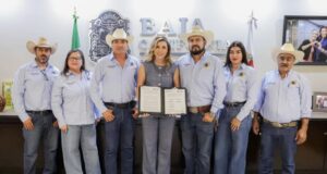 Apoyarán a productores de trigo con mil 500 pesos por hectárea