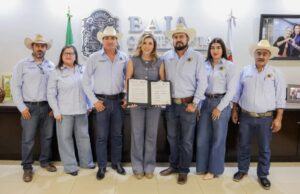 Apoyarán a productores de trigo con mil 500 pesos por hectárea