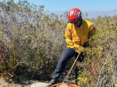 Localizan cuerpo de joven en sendero a kilómetros del Zorrillo en el sur de Ensenada