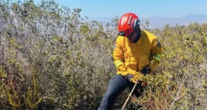 Localizan cuerpo de joven en sendero a kilómetros del Zorrillo en el sur de Ensenada