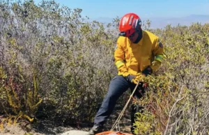 Localizan cuerpo de joven en sendero a kilómetros del Zorrillo en el sur de Ensenada