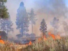 Incendio consume 2 mil 500 hectáreas de chaparral en la Sierra Juárez