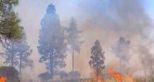 Incendio consume 2 mil 500 hectáreas de chaparral en la Sierra Juárez
