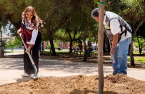 Encabeza Claudia Agatón jornada de reforestación en Parque de la Obrera