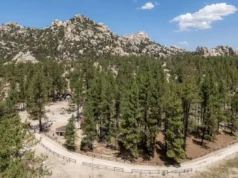 Implementan jornada de limpieza en la Sierra de Juárez