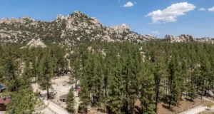 Implementan jornada de limpieza en la Sierra de Juárez