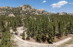Implementan jornada de limpieza en la Sierra de Juárez