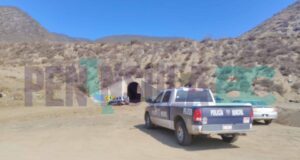 Encuentran brazo humano entre perros de Villas del Prado 2 en Ensenada