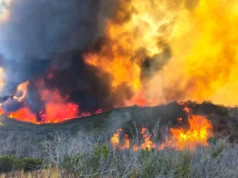 Incendio forestal consume más de 800 hectáreas en el Valle de la Trinidad