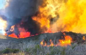 Incendio forestal consume más de 800 hectáreas en el Valle de la Trinidad