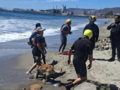 Salvavidas rescatan a mujer y su mascota en playa de Ensenada