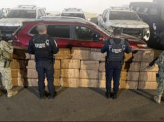 Decomisan 310 kilos de marihuana en el Valle de Guadalupe