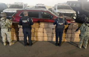 Decomisan 310 kilos de marihuana en el Valle de Guadalupe