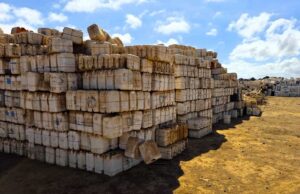Recolectan 60 toneladas de envases vacíos de plaguicidas en San Quintín