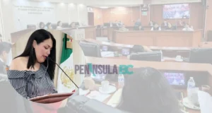 Aprueba Congreso compra de equipamiento para el acompañamiento a colectivos en la búsqueda