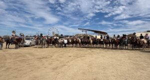 Celebran con tradición y orgullo el 252 aniversario de El Rosario