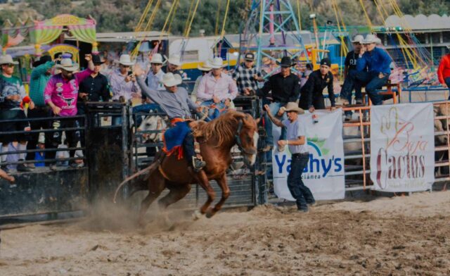rodeo El rosario (1)