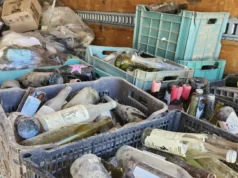 Reúnen más de 5.5 toneladas de vidrio en mega colecta en El Porvenir