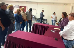 Nombran a Hilda Gaeta Cruz presidenta del Consejo Estatal de Productores de Maíz de Baja California