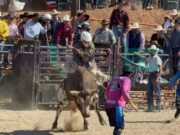 Anuncia SMADS que revisarán condiciones de bienestar animal en próximos rodeos